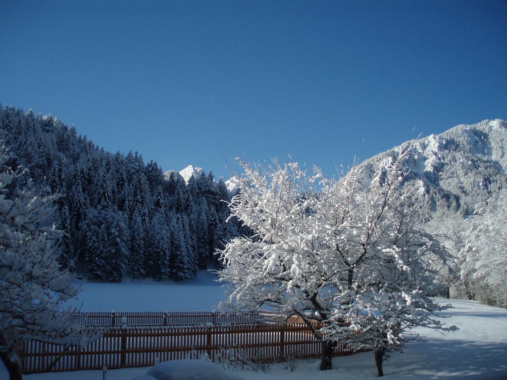 Farm Kosir Kranjska Gora Exterior foto