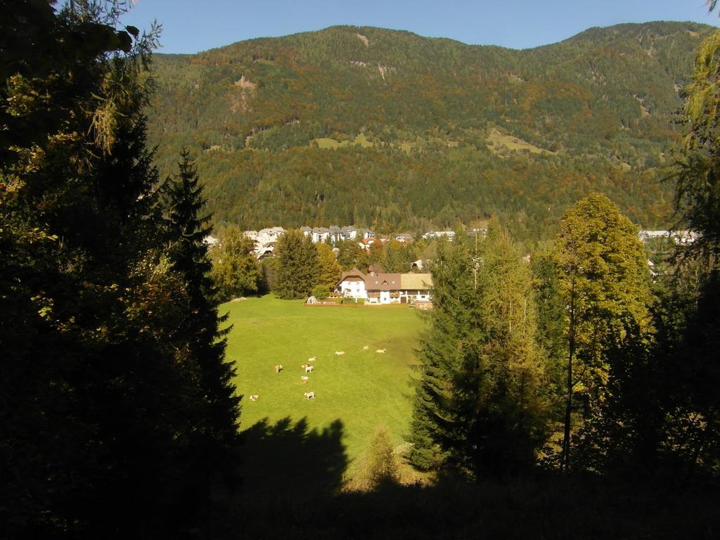 Farm Kosir Kranjska Gora Exterior foto